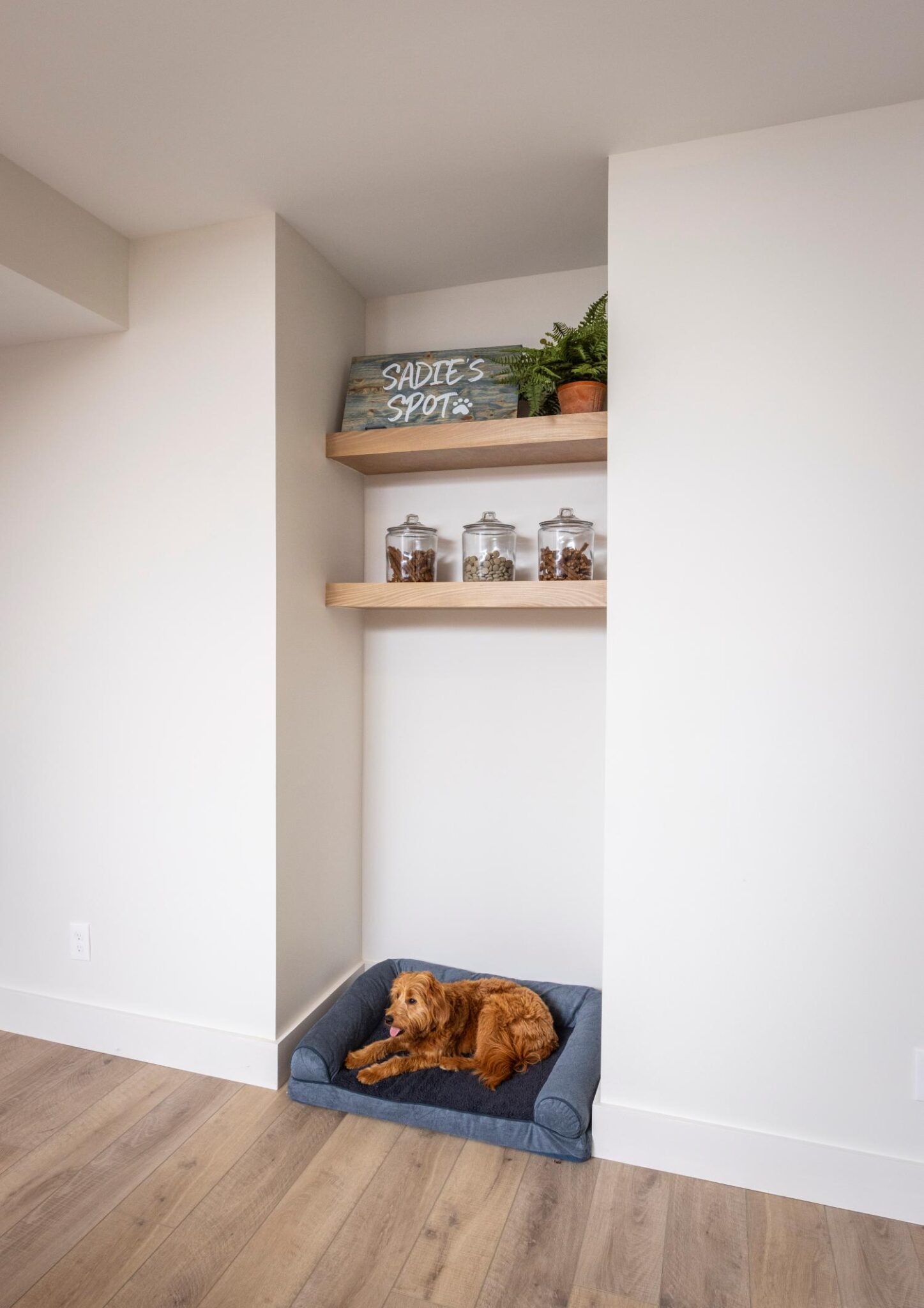 Sadie's Spot (Doggy Corner)