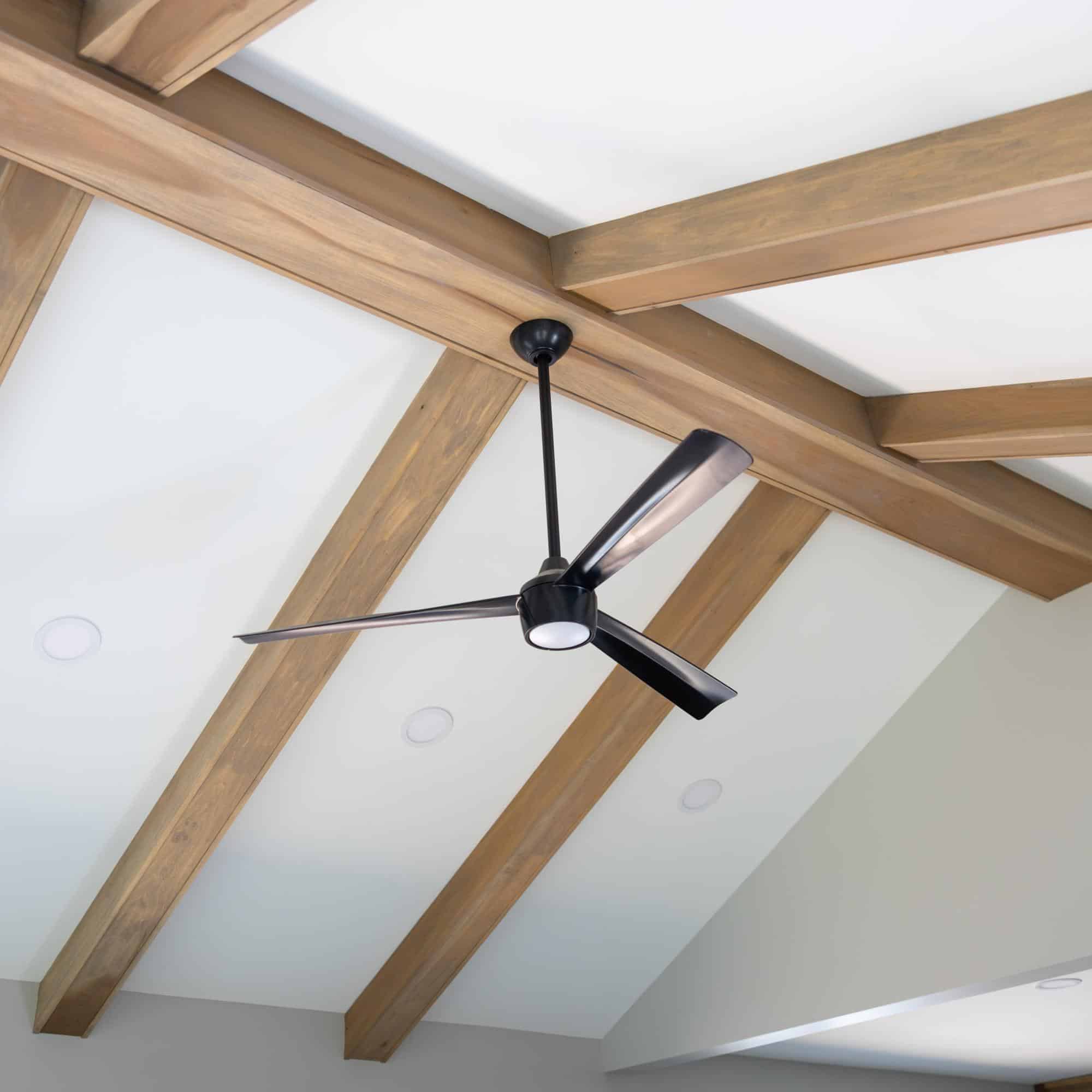 Ceiling Fan